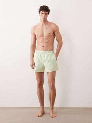 Free Society swim shorts