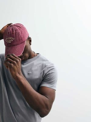 Hollister slim fit icon logo crew neck T-shirt